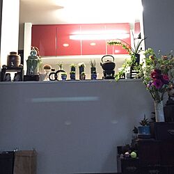 リビング/観葉植物のある生活/焼酎サーバー/器と植物/水栽培...などのインテリア実例 - 2015-03-08 19:35:52