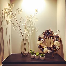 棚/ワイヤーハンガーアレンジ/flower/ハンドメイド/ドライフラワー...などのインテリア実例 - 2015-10-25 23:34:12