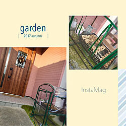 お庭/gardening/お花が大好き( ´͈ ᗨ `͈ )◞❀/こんにちは⑅◡̈* ❁/お花がある暮らし...などのインテリア実例 - 2017-11-12 15:45:24