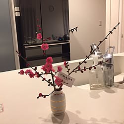 キッチン/花のある暮らしのインテリア実例 - 2017-03-10 15:22:24