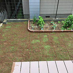 庭/庭土/家庭菜園/芝のインテリア実例 - 2018-05-13 17:17:12