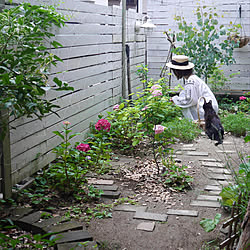 紫陽花/植物のある暮らし/花と暮らす/花のある暮らし/おうち時間を楽しむ...などのインテリア実例 - 2021-06-14 16:23:52