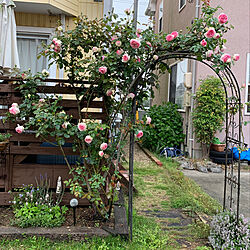 バラが好き/庭のインテリア実例 - 2020-05-30 08:45:28