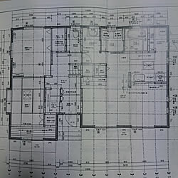 新築間取り図/45坪/両親同居/新築記録用のインテリア実例 - 2019-06-24 22:34:36