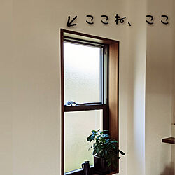 壁/天井/大掃除/観葉植物/IKEA/窓際...などのインテリア実例 - 2020-12-24 15:47:50