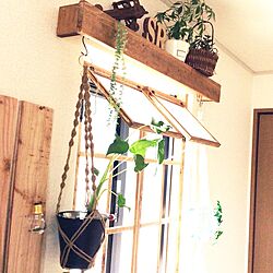 壁/天井/窓枠DIY/観葉植物/プラントハンガー/時間が欲しい…。のインテリア実例 - 2015-05-16 08:53:30