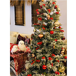 ピラカンサスの実をクリスマスツリーに/ピラカンサスの実/おうち時間/クリスマスディスプレイ/クリスマス雑貨...などのインテリア実例 - 2021-11-06 18:58:23