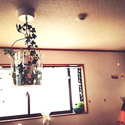 壁/天井/照明/窓辺のインテリア実例 - 2013-06-24 17:03:38