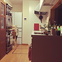 キッチン/IKEAのインテリア実例 - 2016-07-30 22:44:51