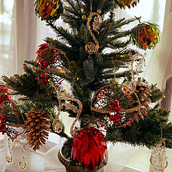 クリスマス/クリスマスディスプレイ/クリスマス飾り/リビング/クリスマスツリー...などのインテリア実例 - 2022-11-26 12:07:15