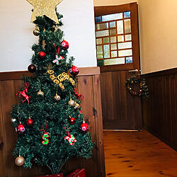 ドア/クリスマスツリー/あかちゃんのいる暮らし/玄関/クリスマス...などのインテリア実例 - 2021-11-18 19:56:07