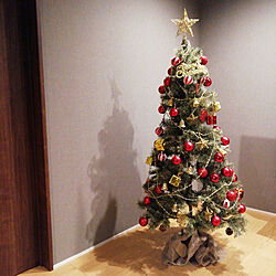 リビング/グレーの壁紙/クリスマスツリー150cm/縦長リビング/ハイドア...などのインテリア実例 - 2021-12-12 18:22:54