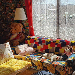 部屋全体/犬と猫と暮らす/カラフル/日常。/気持ちいいらしい...などのインテリア実例 - 2022-03-06 10:47:07