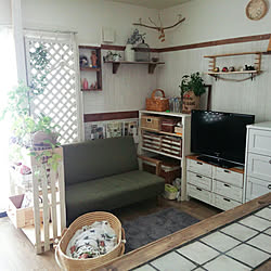 部屋全体/観葉植物/賃貸でも楽しく♪/こどもと暮らす/ベニア板で板壁...などのインテリア実例 - 2018-03-20 14:58:22