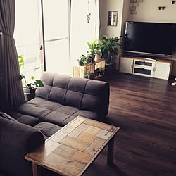 部屋全体/インスタと同じpic/インスタ→chii_ne/テレビボードDIY/台風のためグリーン避難中...などのインテリア実例 - 2015-07-17 11:55:16