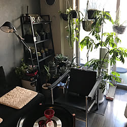 部屋全体/NO GREEN NO LIFE/観葉植物/一人暮らし/多肉植物のインテリア実例 - 2019-01-02 21:56:24