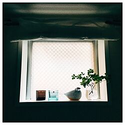 棚/窓/出窓/Oiva Toikka/Iittala...などのインテリア実例 - 2017-06-05 17:45:46