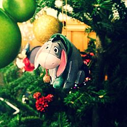 ディズニー/クリスマスツリーのインテリア実例 - 2013-11-25 16:06:38