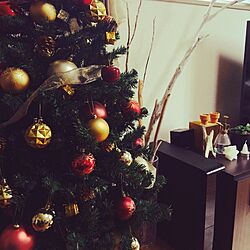 リビング/クリスマスツリー/クリスマス/多肉植物/流木のインテリア実例 - 2014-12-02 11:26:46