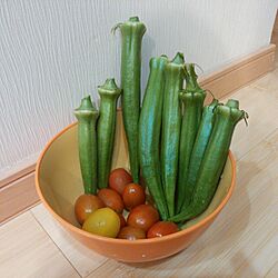 家庭菜園/おばけのインテリア実例 - 2013-07-25 20:01:06