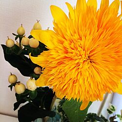 棚/お花のある暮らし/一人暮らし/今週のお花/植物のインテリア実例 - 2014-06-25 17:22:32