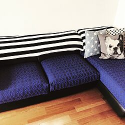 リビング/DIY/IKEAのインテリア実例 - 2017-05-12 18:54:18