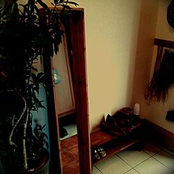 玄関/入り口/DIY/植物のインテリア実例 - 2013-11-14 13:37:18