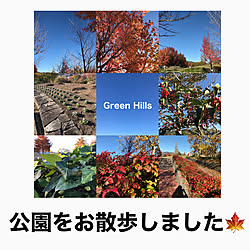 紅葉/公園/玄関/入り口のインテリア実例 - 2020-11-15 05:22:10