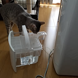 部屋全体/除湿乾燥機のインテリア実例 - 2019-05-19 10:36:59