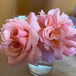 庭/ガーデニング/花のある暮らし/ピンク/薔薇...などのインテリア実例 - 2022-04-22 07:20:51