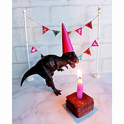 Happy Birthday/恐竜/リビングのインテリア実例 - 2022-12-21 08:48:54