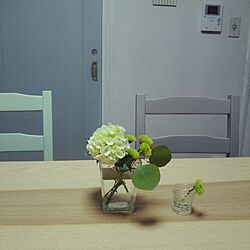 ダイニングテーブル/IKEA/椅子ペイント/中古住宅/水色のドアのインテリア実例 - 2017-06-08 17:34:52