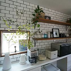 キッチン/定点観測/日替わり投稿企画!日曜日/植物のある暮らし/freeq home...などのインテリア実例 - 2017-06-04 21:14:21