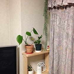 リビング/観葉植物/ニトリ/DIY/ダイソー...などのインテリア実例 - 2016-06-04 21:10:26