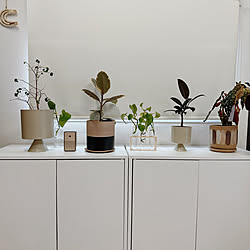 IKEA/雑貨/北欧/海外風インテリア/観葉植物...などのインテリア実例 - 2023-07-10 01:38:46