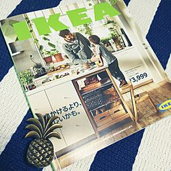 棚/海外インテリアに憧れて/マンション/IKEA/パイナップルのインテリア実例 - 2015-08-29 16:49:28