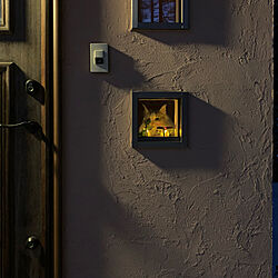 小窓/猫と暮らす/ステンドグラス/LEDキャンドル/LEDライト...などのインテリア実例 - 2020-12-24 15:30:46