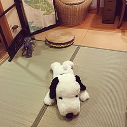 ベッド周り/い草の香り/い草の上敷き/琉球畳/い草の座布団...などのインテリア実例 - 2017-07-08 00:48:13