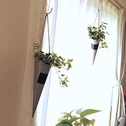 壁/天井/ナチュラル/観葉植物のインテリア実例 - 2016-07-01 08:14:27
