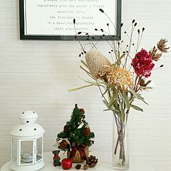 花/IKEA/ポスター/クリスマスツリー/ナチュラル...などのインテリア実例 - 2016-11-26 13:05:56