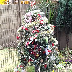 玄関/入り口/手作り/クリスマスツリーのインテリア実例 - 2012-12-02 15:13:09