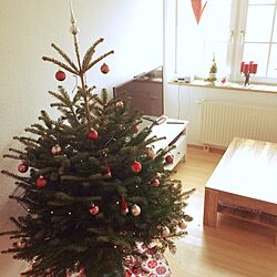 リビング/クリスマスツリー/ドイツ生活/子どものいる暮らしのインテリア実例 - 2016-12-06 21:36:06