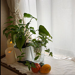 ベッド周り/ニトリの花瓶/鳥さん/観葉植物♡/根っこがでてきました...などのインテリア実例 - 2018-10-12 09:57:12