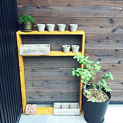 玄関/入り口/DIY/観葉植物のインテリア実例 - 2016-07-01 08:38:24