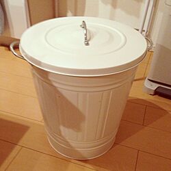 キッチン/ごみ箱のインテリア実例 - 2013-02-11 21:54:12