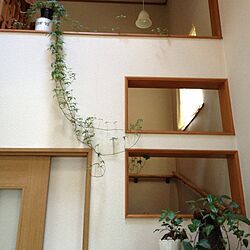壁/天井/植物のインテリア実例 - 2013-09-04 16:08:18