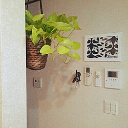 壁/天井/ペットとの暮らし/植物/IKEA/手作りのインテリア実例 - 2015-08-31 10:31:57