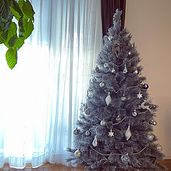 カシミアプラチナシルバーツリー/クリスマスツリー150cm/クリスマスツリー/クリスマス/リビング...などのインテリア実例 - 2021-12-21 13:47:34