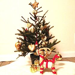 リビング/クリスマスツリーのインテリア実例 - 2012-11-12 18:21:15
