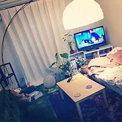 部屋全体/IKEA/ひとり暮らし/植物のインテリア実例 - 2013-04-20 15:29:17